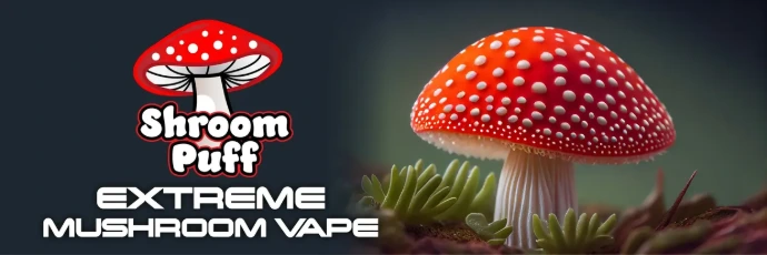 Opia, 7OH, Kratom &amp; Mushroom Vape Store in Iowa City